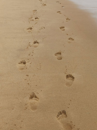 Daily Devotion - Faith Lutheran Church, Wesley Chapel, FL - Footprints in the Sand