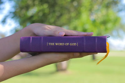 Daily Devotion - Faith Lutheran Church, Wesley Chapel, FL - Word of God book