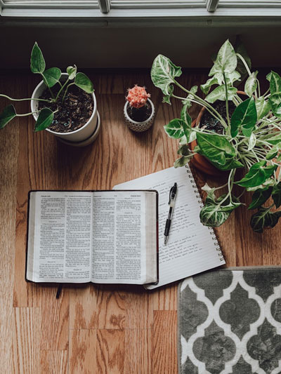 The Other Six - Faith Lutheran Church, Wesley Chapel, FL - The Bible around plants