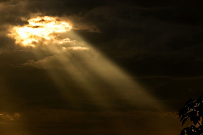 Daily Devotion - Faith Lutheran Church, Wesley Chapel, FL - God rays