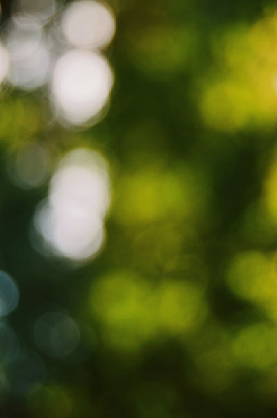 The Other Six - Faith Lutheran Church, Wesley Chapel, FL - Blurry trees
