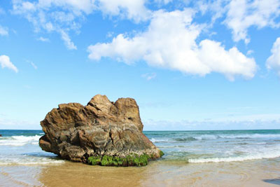 Daily Devotion - Faith Lutheran Church, Wesley Chapel, FL - Large rock on a beach