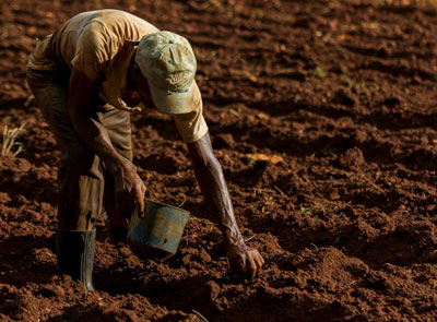 Daily Devotion - Faith Lutheran Church, Wesley Chapel, FL - Man planting seed