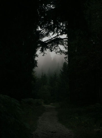 Daily Devotion - Faith Lutheran Church, Wesley Chapel, FL - Dark path