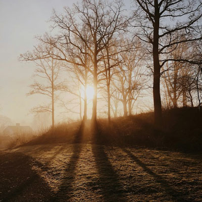 The Other Six - Faith Lutheran Church, Wesley Chapel, FL - Path at dawn